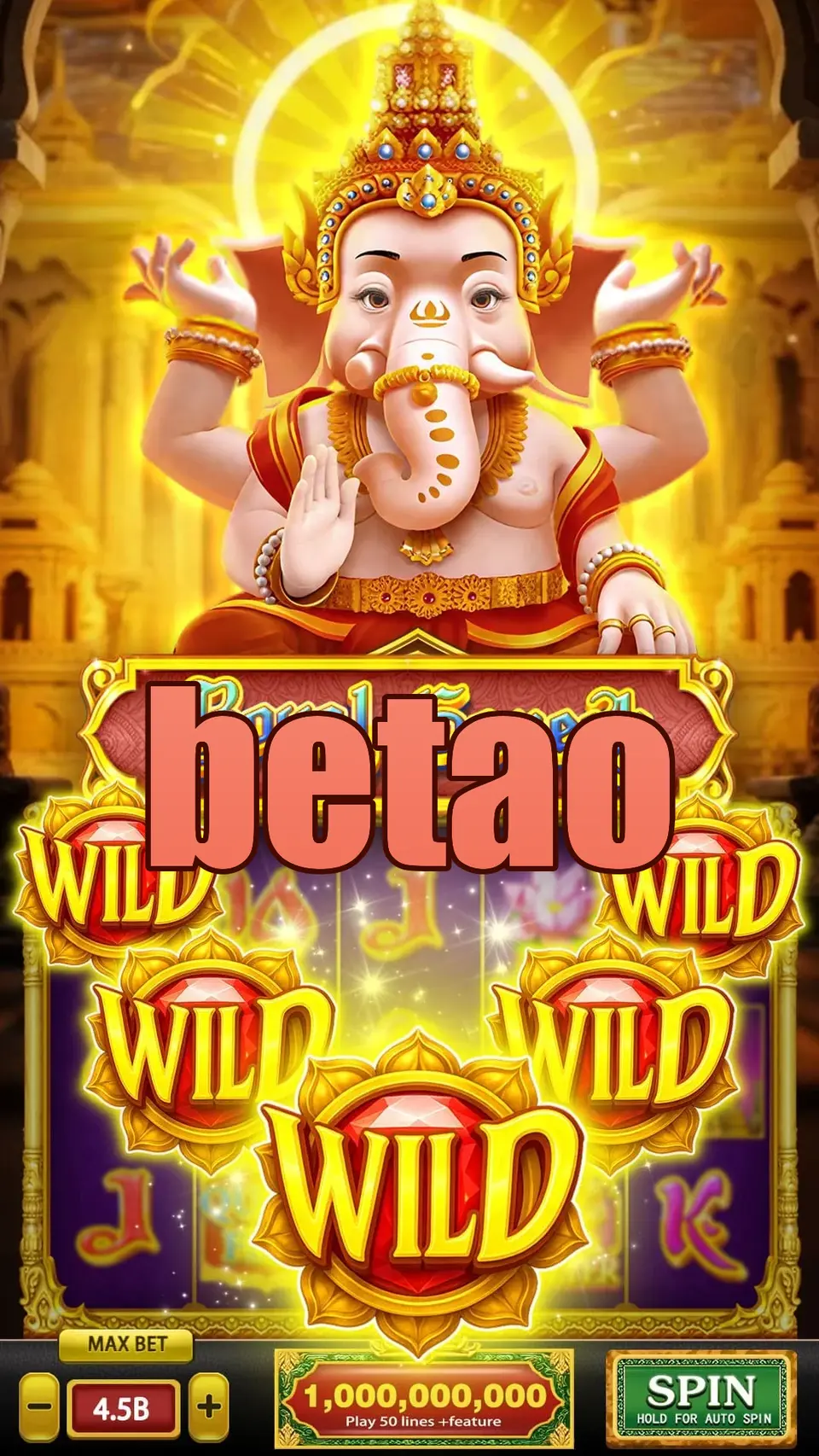 betao Login